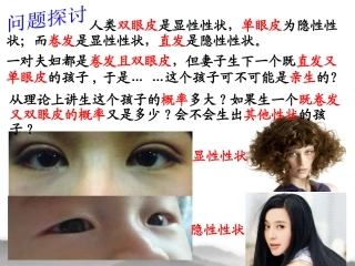 杂交实验二改