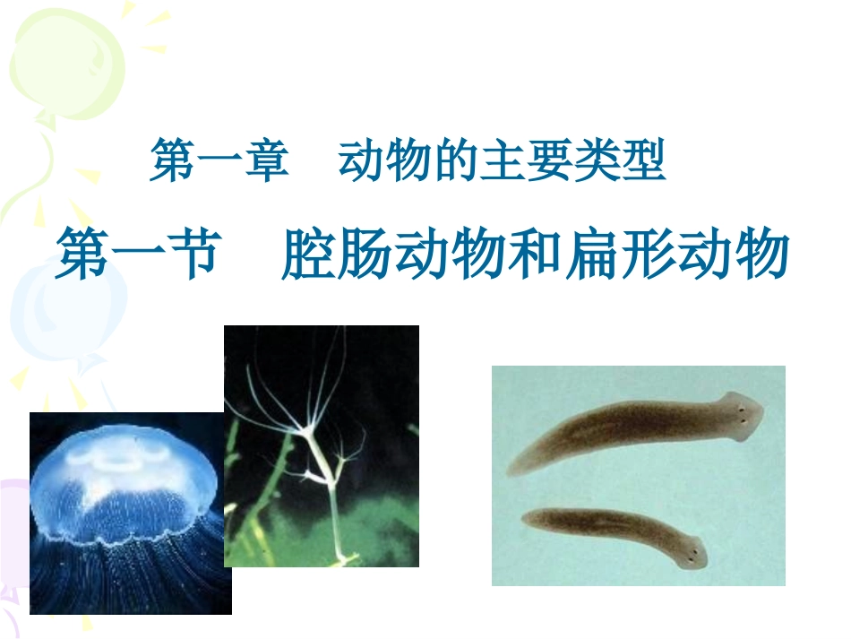 第一节_腔肠动物和扁形动物_第2页