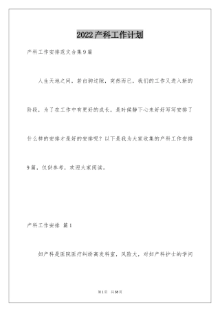 2024产科工作计划