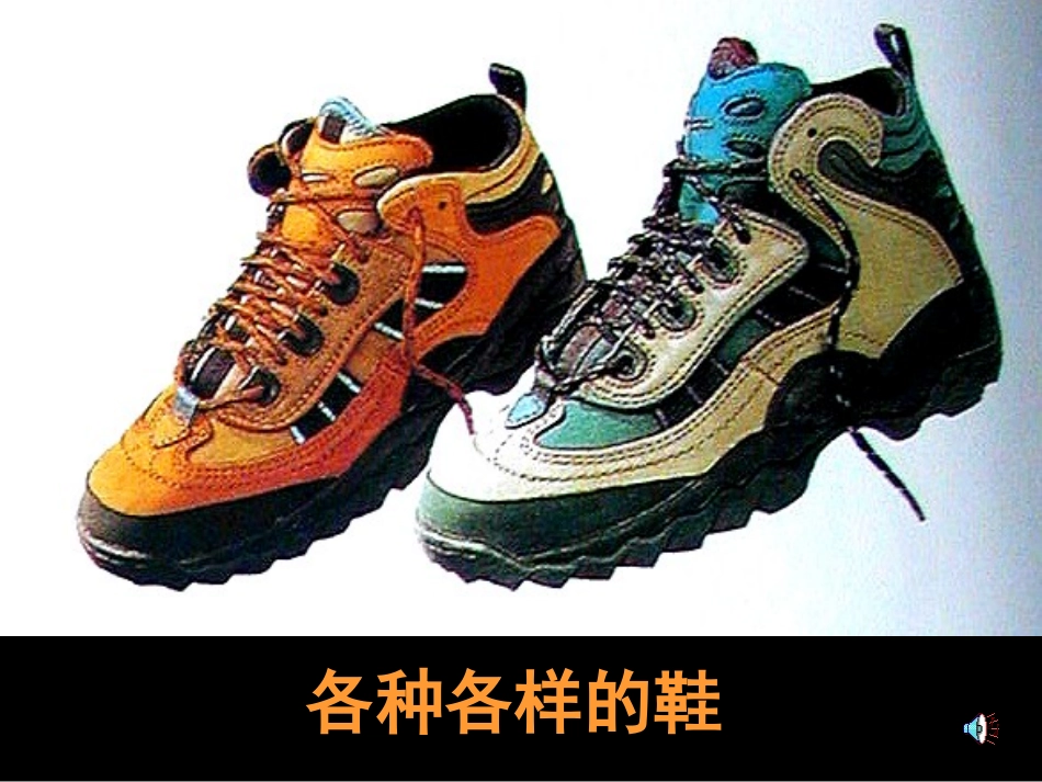 十二课：各种各样的鞋_第1页