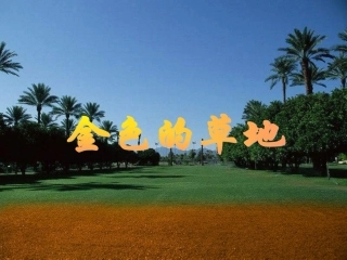 《金色的草地》PPT课件