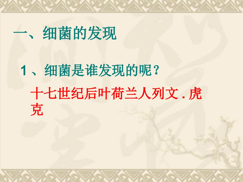 细菌课件（上课版）_第3页