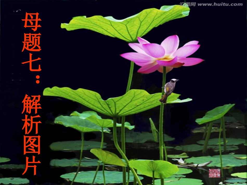 解析图片之母题解读_第1页