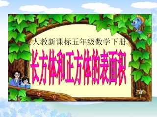 （人教版新课标）长方体和正方体的表面积4