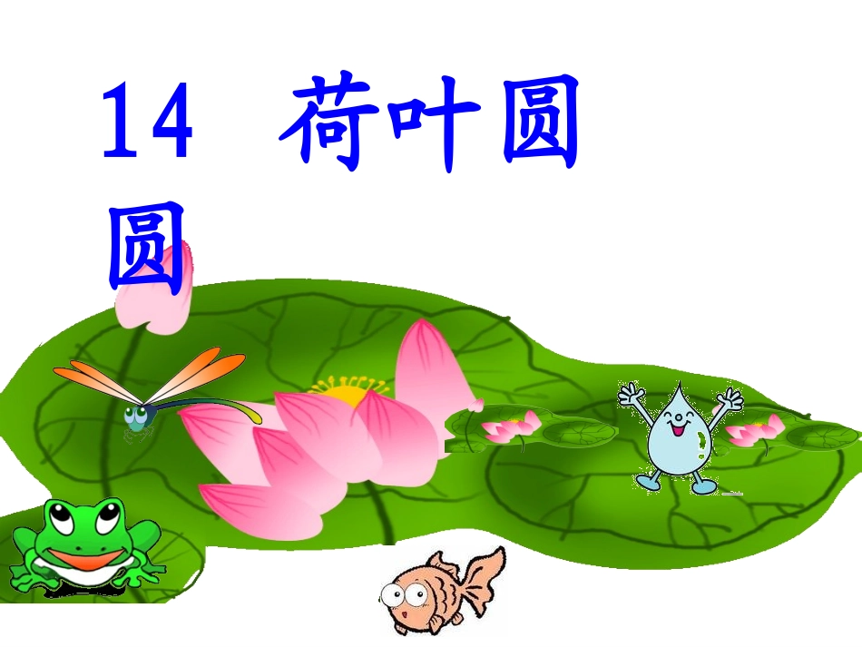 荷叶圆圆课件修改_第3页