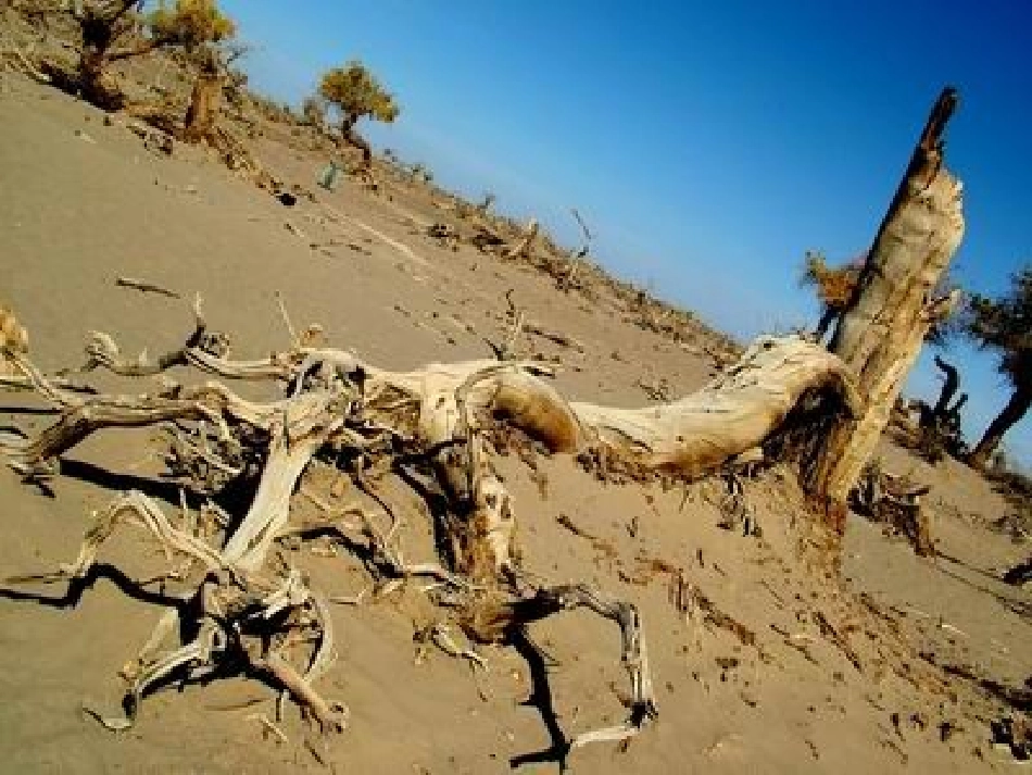 《七颗钻石》PPT课件03(3)_第3页