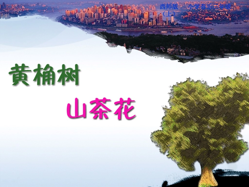 黄桷树，山茶花_第1页