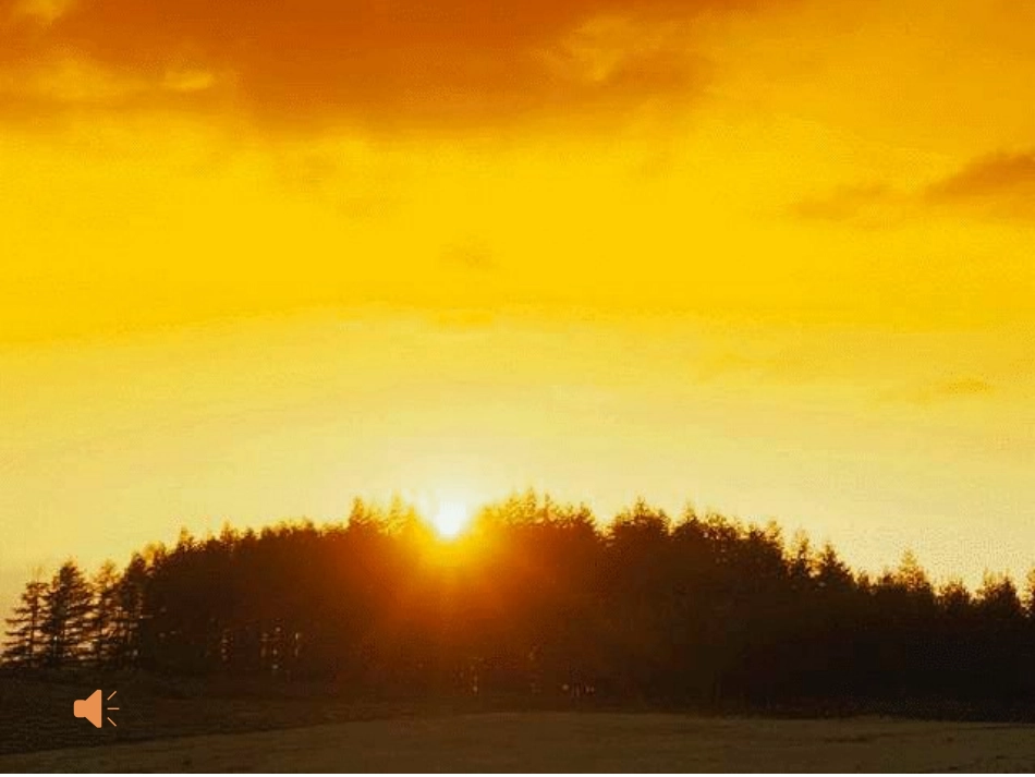 心理韧性让你“弹”起来5林红丽_第1页