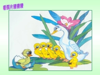 《巨人的花园》课件