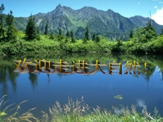 岩石会改变模样吗PPT五上