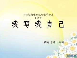 趣味日记第六章