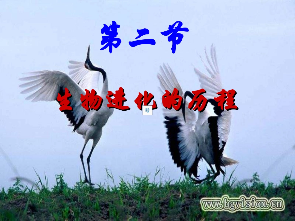第二节生物进化的历程_第1页
