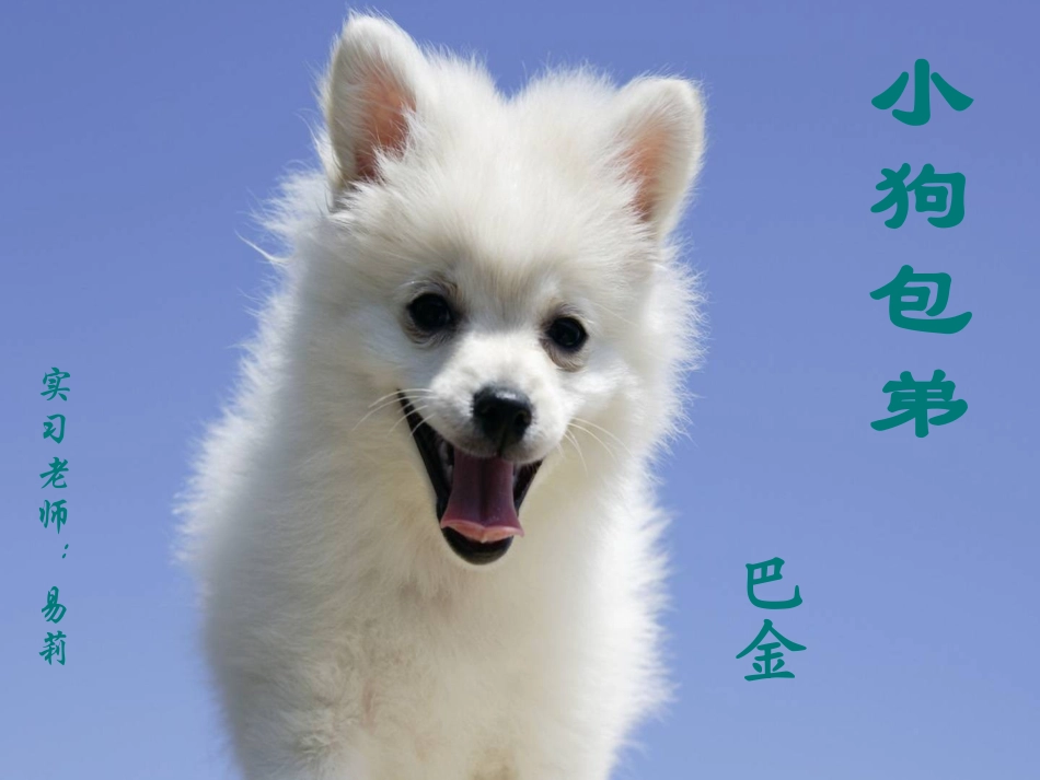 小狗包弟PPT_第1页