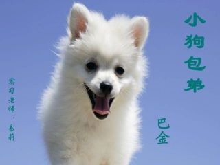 小狗包弟PPT
