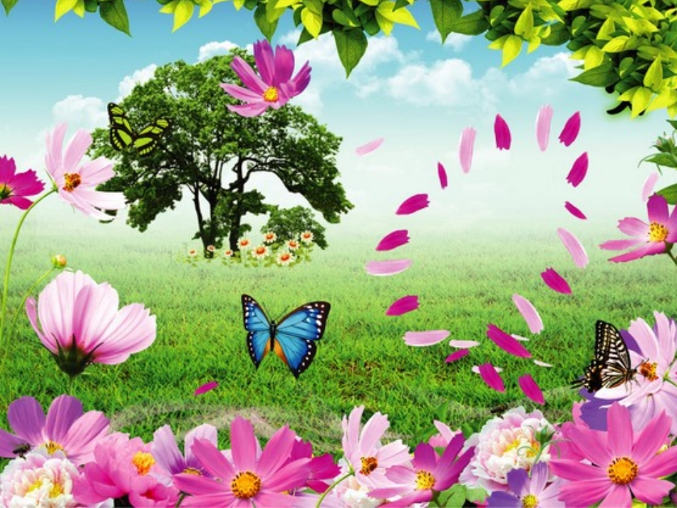 识字四 (2)_第2页