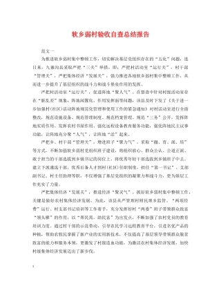 软乡弱村验收自查总结报告 