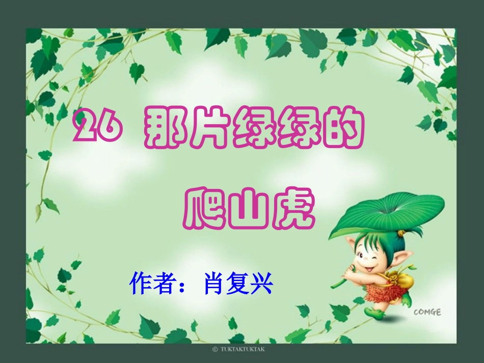 那片绿绿的爬山虎000_第1页