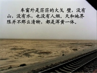 白杨课件课件