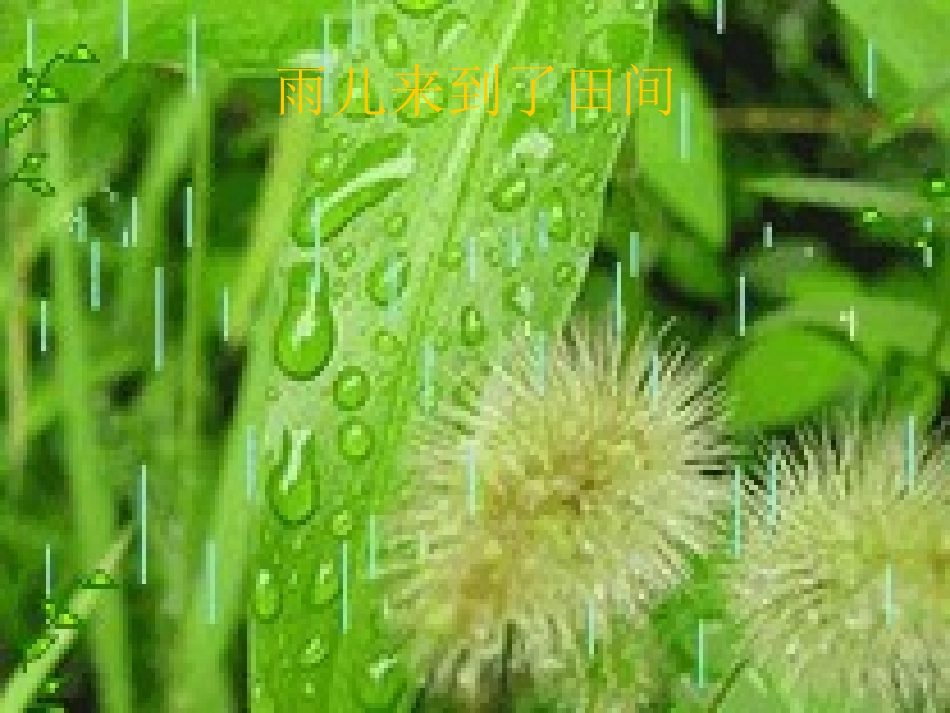 一年四季的雨_第2页