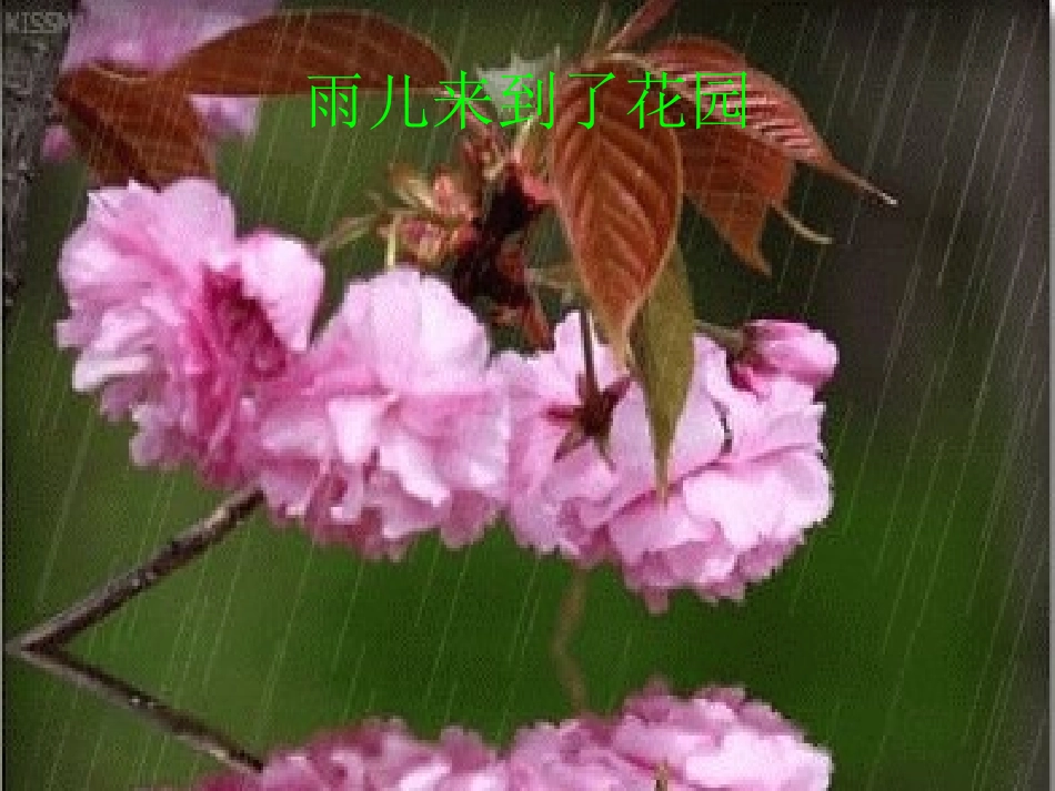 一年四季的雨_第3页