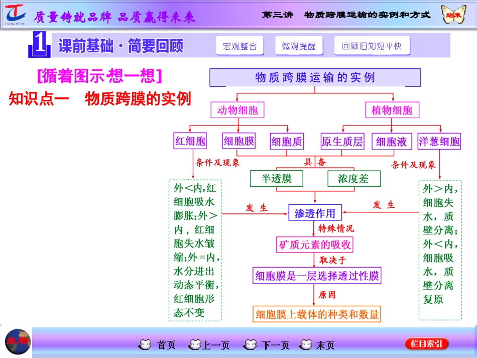 第三讲物质跨膜运输的实例和方式_第2页