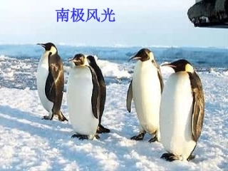 《伟大的悲剧》课件(65页)