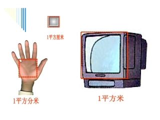 长方形、正方形面积的计算