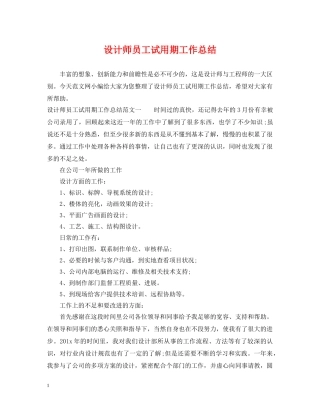 设计师员工试用期工作总结 