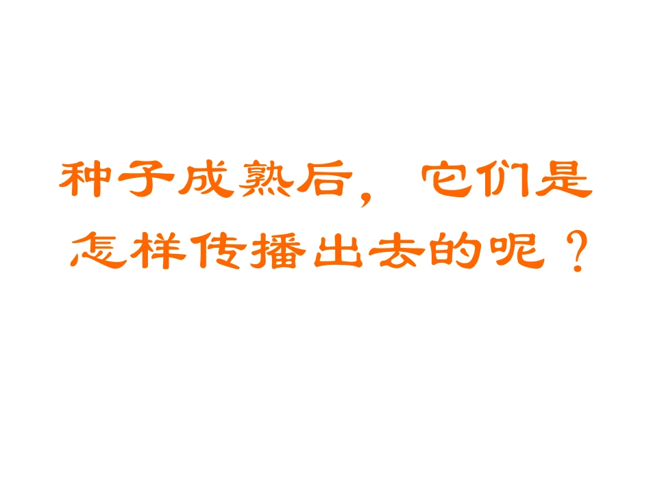 把种子散播到远处_第3页