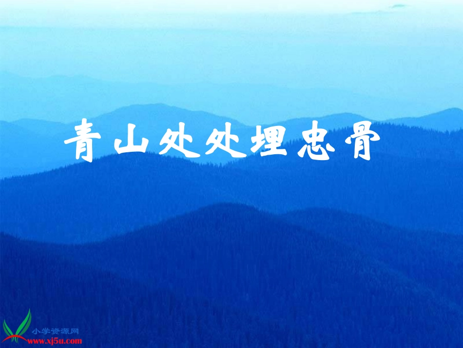 青山处处埋忠骨_第1页