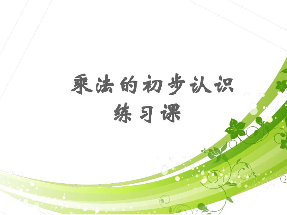 乘法练习课课件_第1页