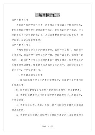 出纳目标责任书