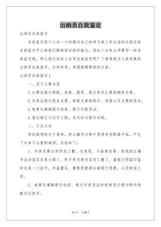 出纳员自我鉴定