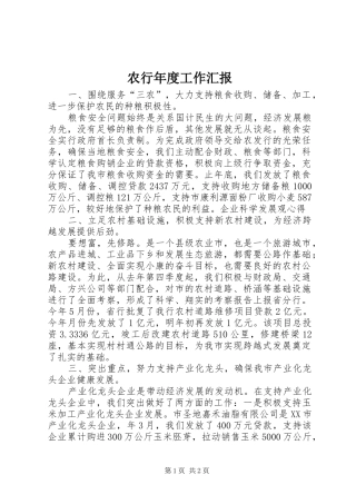 农行年度工作汇报