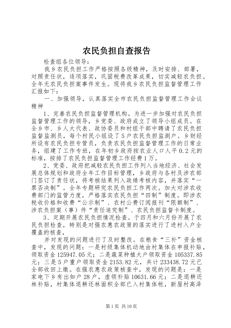 农民负担自查报告_第1页