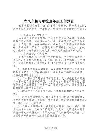 农民负担专项检查年度工作报告