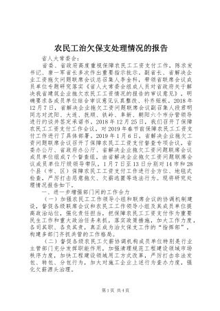 农民工治欠保支处理情况的报告