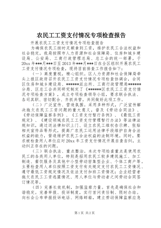 农民工工资支付情况专项检查报告