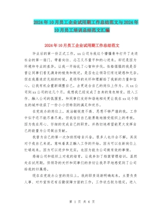 2024年10月员工企业试用期工作总结范文与2024年10月员工培训总结范文汇编