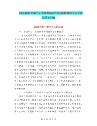 2024挂职干部个人工作总结与2024挂职锻炼个人工作总结1汇编