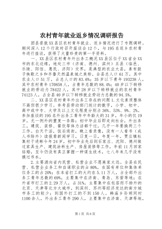 农村青年就业返乡情况调研报告