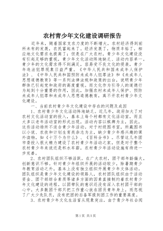农村青少年文化建设调研报告