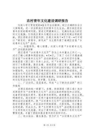 农村青年文化建设调研报告