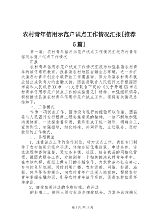 农村青年信用示范户试点工作情况汇报[推荐5篇]