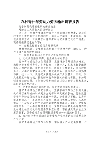 农村青壮年劳动力劳务输出调研报告