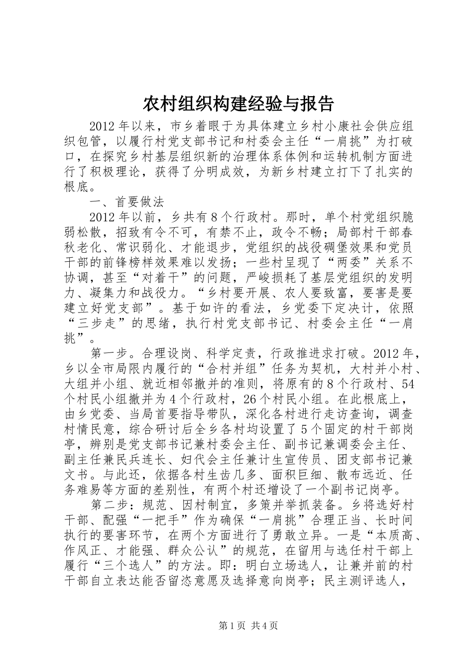 农村组织构建经验与报告_第1页