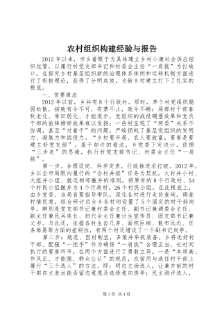 农村组织构建经验与报告