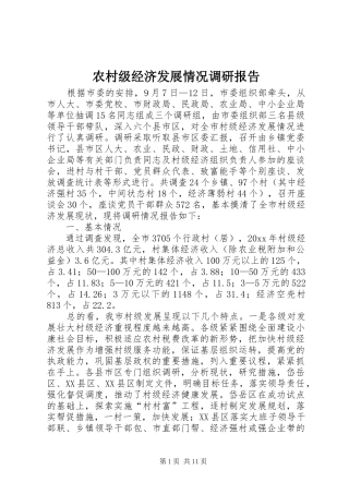 农村级经济发展情况调研报告 (12)