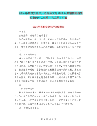 2024年某村安全生产总结范文与2024年某销售部销售总监的个人年终工作总结1汇编
