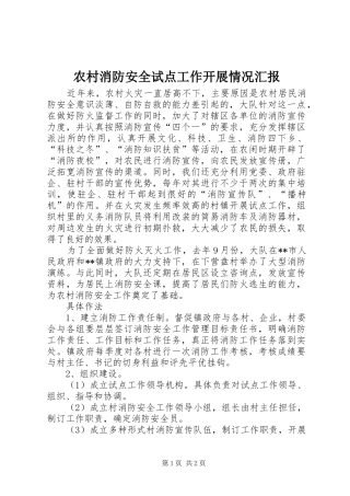 农村消防安全试点工作开展情况汇报